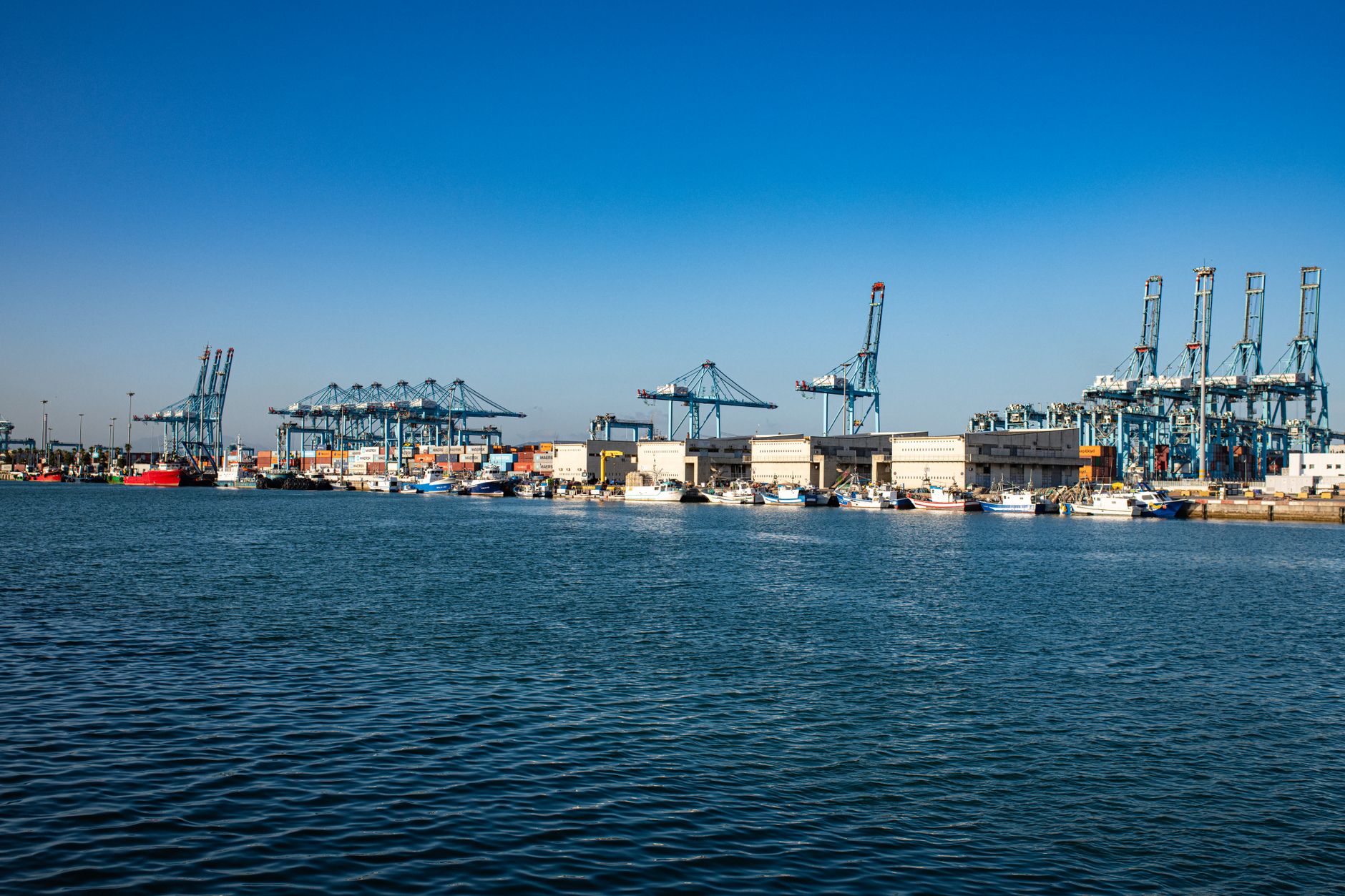 Capesize Freight Growth to India Surges