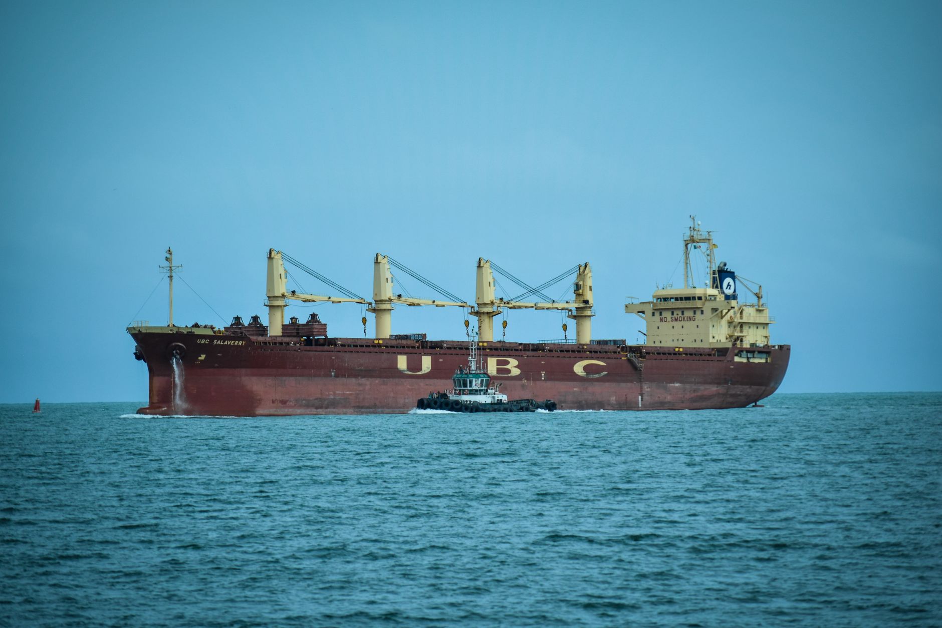 MSC Resumes Red Sea Transit with Seven Container Ships Amid Gradual East‑West Network Return
