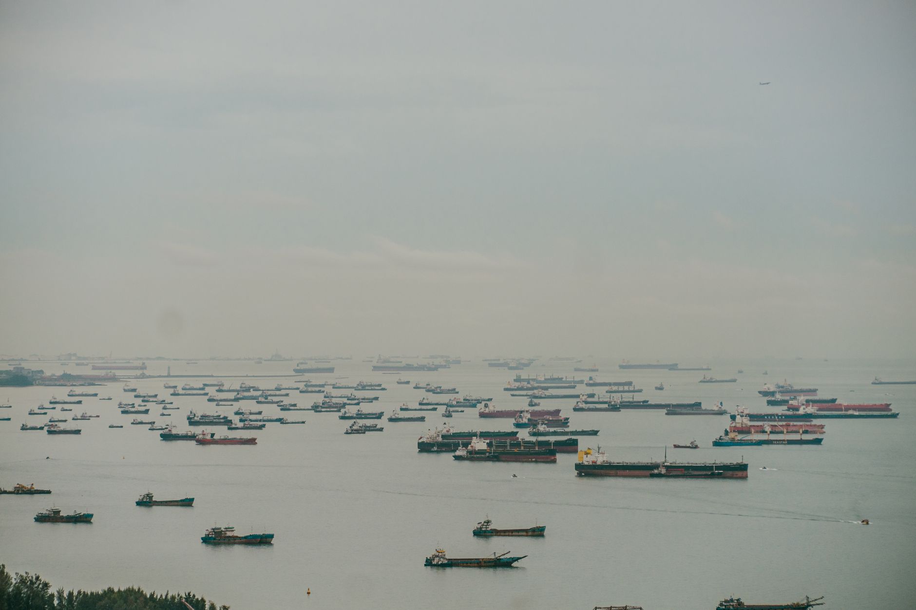 Red Sea Disruptions Impact Global Trade and Freight Logistics Severely