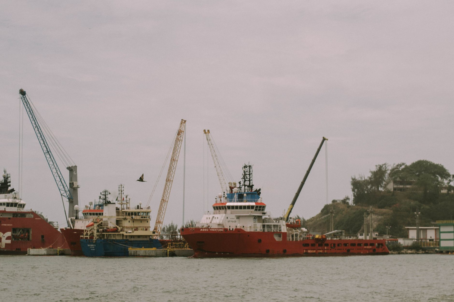 Shipping Giants Warn Indian Port and Truck Delays Could Raise Freight Costs and Disrupt Deliveries